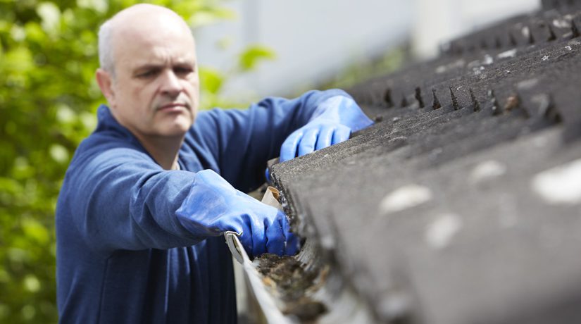 Man Clearing Leaves From Guttering Of House