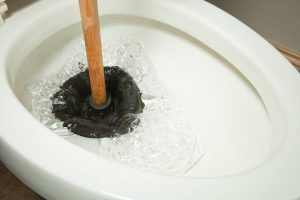 Common Signs Your Drains Are Blocked