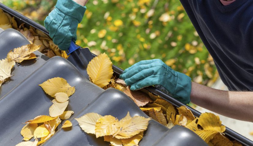 All You Need to Know About Keeping Your Gutters Clean