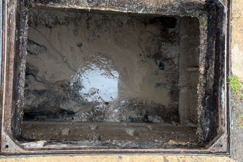 Seal Sanctuary Drains