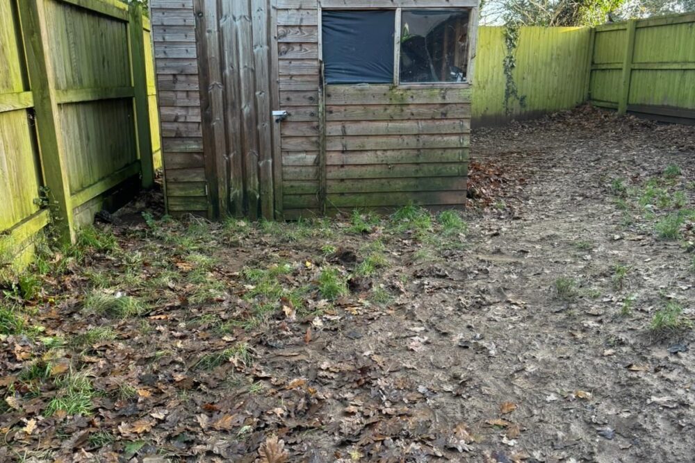 Garden Renovation