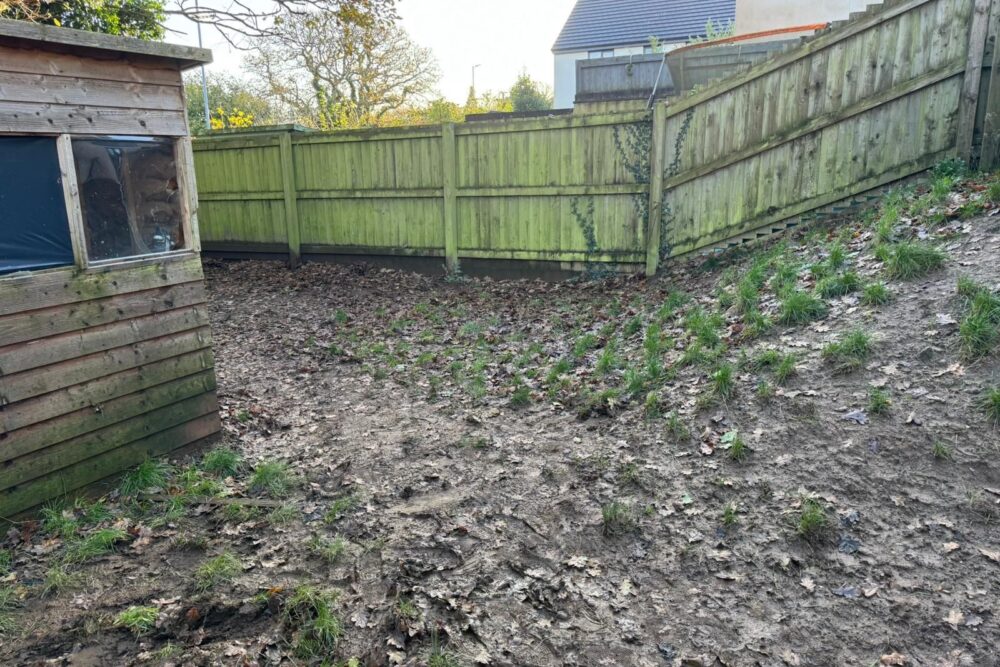Garden Renovation