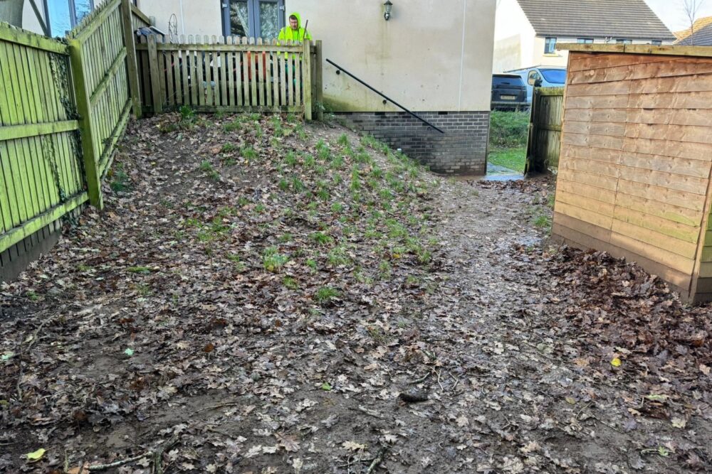Garden Renovation Case Study in Cornwall